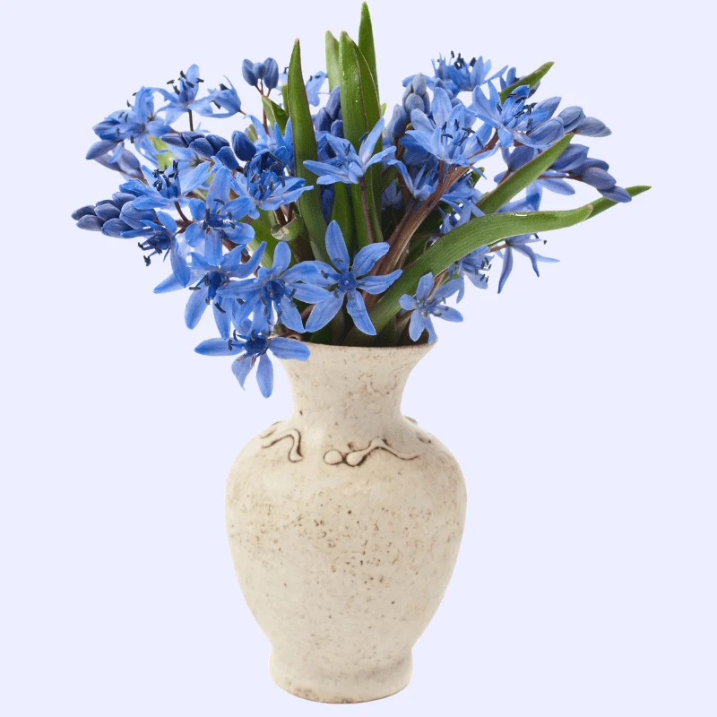 Home Décor & Furnishings