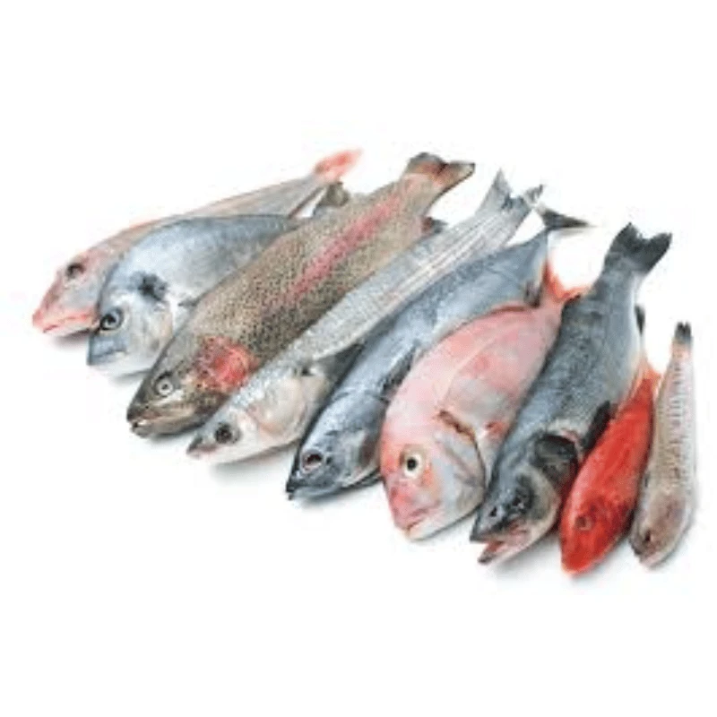 Fresh Fish & Seafood
